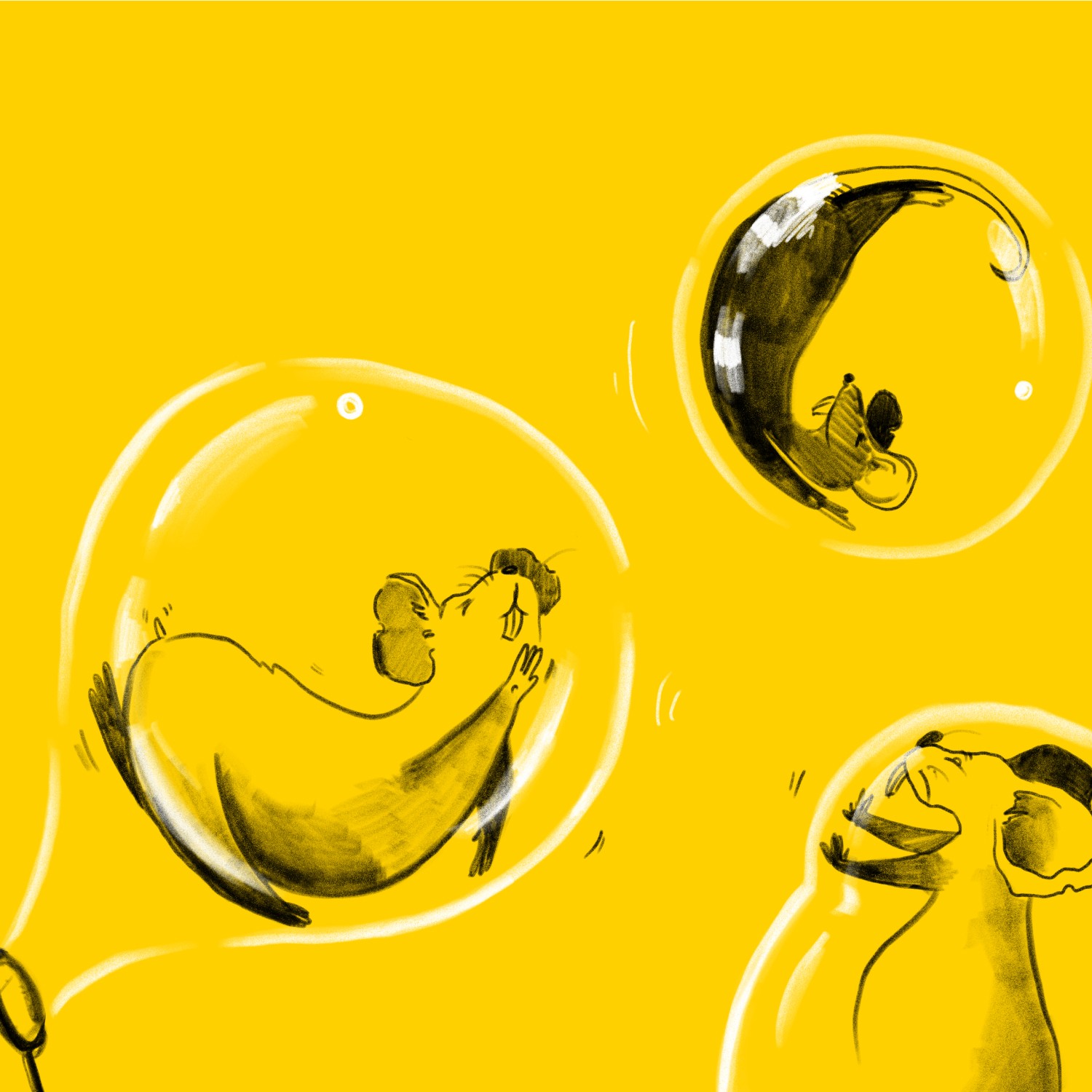 Mantenete en tu burbuja